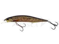 Esca DUO Realis Jerkbait 120SP Pike Limited - CCC3815 Bown Trout ND