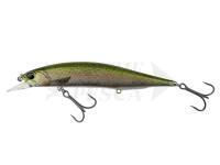 Esca DUO Realis Jerkbait 120SP Pike Limited - CCC3836 Rainbow Trout ND