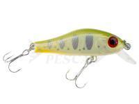 Esca Zipbaits Rigge 35 F - 852