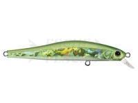 Esca Zipbaits Rigge 70 F - 317