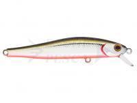 Esca Zipbaits Rigge 70SP - 105M