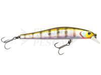 Esca Zipbaits Rigge 90 SP - 509M