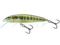 Esca Salmo Minnow M6S 6cm - Minnow