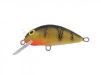 Esca Dorado Scout ST-4 Floating P