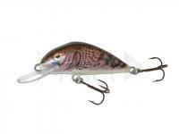 Esca Dorado Scout ST-6 Floating CG
