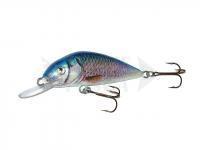 Esca Dorado Scout ST-6 Floating RBR