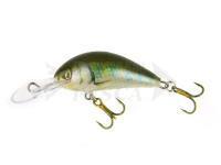 Esca Kenart Shark 4cm GG