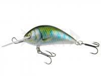 Esca Kenart Shark 5cm GG