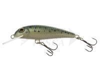 Esca Wob-Art Strzebla (Common minnow) 6cm 4g MF DR - 21