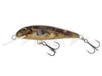 Esca Wob-Art Strzebla (Common minnow) 6cm 4g MF DR - 39