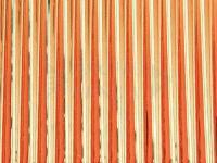 Hemingway's Tapered Buzzer Quills - Red Gold