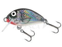 Esche Salmo Tiny IT3F   HGS