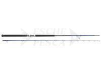 Canna Savage Gear SGS6 Shore Jigging 10' 3.05m MF 70-180g H PE#3.0-6.0 2sec