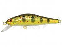 Esche Adam's Jerkbait 50 SP SR | 50mm 3g - HG Gold Amago