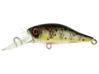 Esche Adam's Shad 34 F MR | 34mm 1.5g - Truitelle