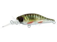 Esche Adam's Shad 40 SP MR | 40mm 2.70g - Alevin