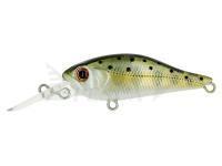 Esche Adam's Shad 40 SP MR | 40mm 2.70g - Minnow