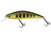 Esche Adam's Zero Arise Minnow 60mm 6.1g - Gold Amago