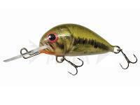 Esca Dorado Alaska A-3,5 Floating BS