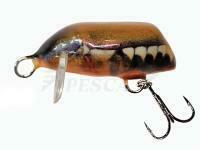Esca Dorado Beetle 3 FBT