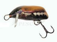 Esca Dorado Beetle 3 NB