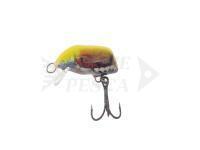 Esca Dorado Dorado Beetle 3 YBT