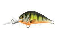 Esca Dorado Blagier 3,5F P