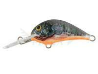 Esca Dorado Blagier 3,5S CK