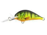Esca Dorado Blagier 3,5S FP