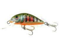 Esca Dorado Scout ST-4 Floating DGR