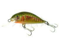 Esca Dorado Scout ST-4 Floating GTR