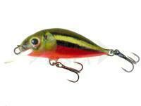 Esca Dorado Scout ST-4 Floating RBD