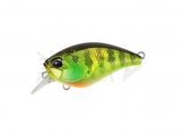Esca Duo Realis Crank Mid Roller 40F | 40mm 5.3g | 1-3/8in 3/16oz - AJA3055 Chart Gill Halo