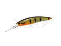 Hard Lure DUO Realis Fangbait 100DR | 100mm 17.5g | 3-7/8in 5/8oz - AOA3327 Peacock Bass HD