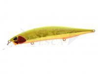 Esca Duo Realis Jerkbait 120S SW 12cm 21.6g - ADA3121 Phoenix