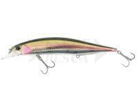 Esca DUO Realis Jerkbait 120SP - CRA4036