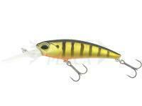 Esca DUO Realis Shad 62DR - ASA3146