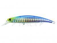 Esca DUO Spearhead Ryuki 95S WT (SW Limited) - DHN0172 Clear Blue Back