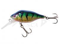 Esca Fox Rage Funk Bug 50mm 7g DR - UV Original Perch