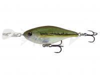 Esca Headbanger Cranky Shad 64mm 10g Slow sink - Minnow