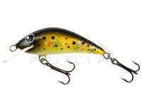 Hard Lure HMGlures SilentASSASIN 39 F | 39mm 2.2g - 392204