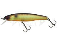 Esche Illex Arnaud 100 F | 10cm 16g - Muddy Roach