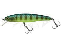 Esche Illex Arnaud 100 F | 10cm 16g - Secret Grass Gill