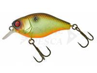 Hard Lure Illex Chubby 38 mm 4g - Muddy Roach