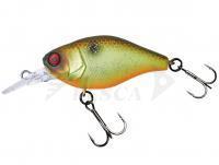 Hard Lure Illex Chubby 38 MR | 38mm 4.0g - Muddy Roach
