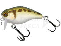 Esca Illex Chubby 41 SSR 4.1cm 5.7g - Tonosama