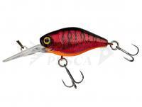 Hard Lure Illex Diving Chubby 38 mm 4.3g - Aurora Red Tiger