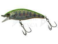 Hard Lure Illex Flat Tricoroll 45 S - RT Visible Yamame