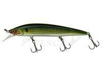 Esche Illex Rerange 110 SP | 11cm 14.8g - Chart Back Mulet