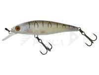 Hard Lure Illex Squad Minnow 95 SP - Tiger Bone